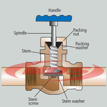 Globe Valve