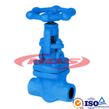 Globe Valve